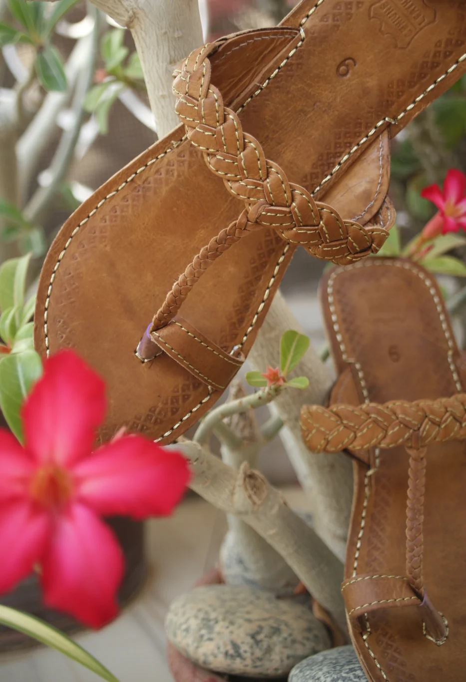 Brown Lotus kolapuri - Image 4