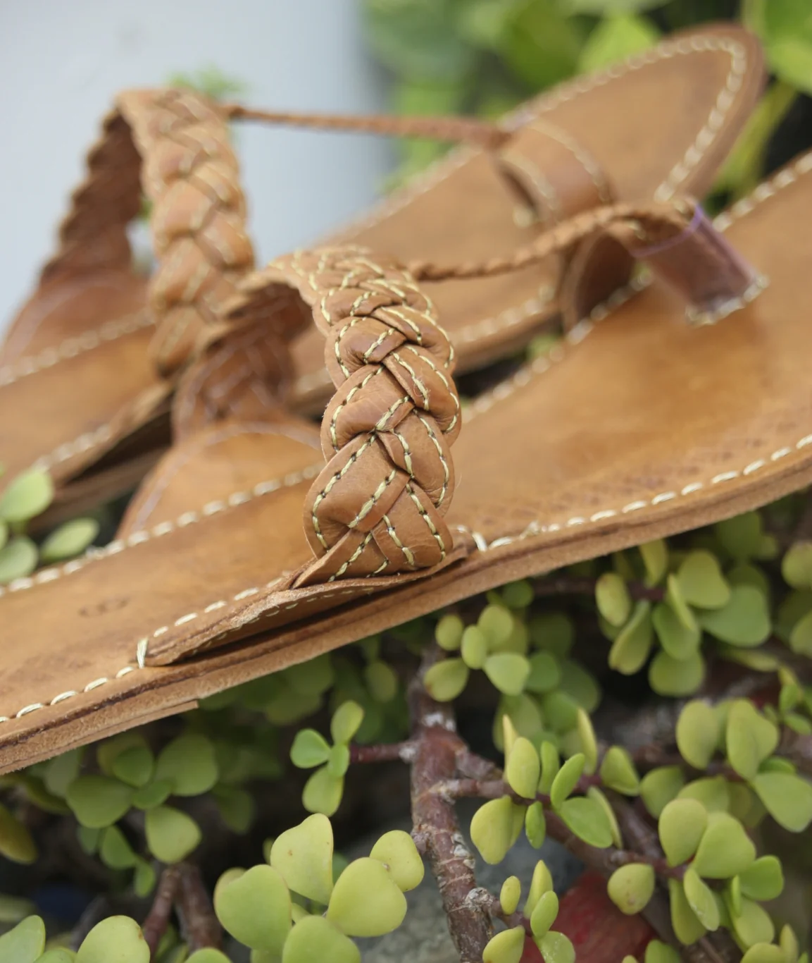 Brown Lotus kolapuri - Image 6